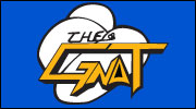 Imaginary, comics, comic, comic book, entertainment, news, superheroes, characters, Adhesive Man, The Mighty Lug, The Gnat, SMS